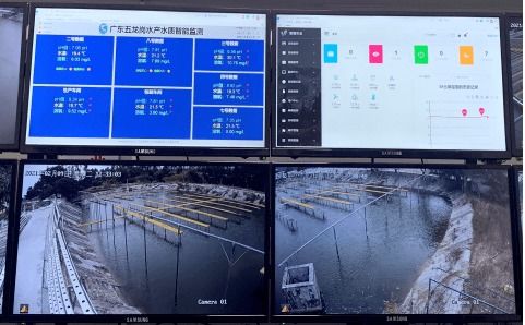 科技興漁 人工智能與芯片魚(yú)如何驅(qū)動(dòng)水產(chǎn)養(yǎng)殖變革